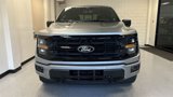 New 2025 Ford F150 XLT image 4