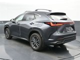 Certified 2025 Lexus NX 350h AWD w/ Premium Package image 6