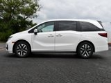 New 2026 Honda Odyssey EX-L image 4
