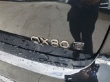 New 2026 INFINITI QX80 Autograph w/ Premium Cargo Package image 5