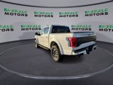 Used 2019 Ford F150 Raptor image 6
