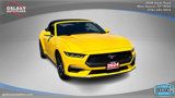 Used 2024 Ford Mustang Premium image 3