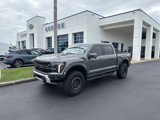 Used 2025 Ford F150 Raptor image 1