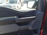 New 2025 Ford F150 XLT image 6