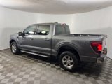 New 2024 Ford F150 XLT w/ Equipment Group 302A MID image 4