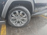 Certified 2024 Toyota RAV4 XLE Premium image 2