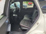 New 2024 Ford Escape ST-Line Elite image 6