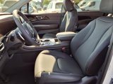 New 2025 Kia Carnival SX Prestige image 4