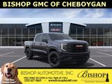 New 2025 GMC Sierra 1500 Elevation image 2
