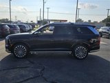 New 2026 Hyundai Palisade Calligraphy image 4
