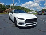 Certified 2025 Ford Mustang Coupe w/ Mustang Nite Pony Package image 2