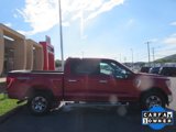 Used 2022 Ford F150 XLT w/ Equipment Group 302A High image 2