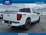 New 2025 Ford F150 XLT w/ Equipment Group 302A MID image 5