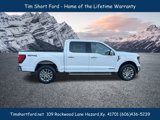New 2025 Ford F150 XLT w/ Equipment Group 303A High image 4