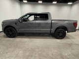 New 2025 Ford F150 Platinum w/ Equipment Group 702A High image 5