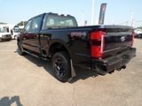 New 2025 Ford F250 XL w/ STX Appearance Package image 3