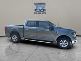 Used 2024 Ford F150 XLT w/ Mobile Office Package image 4