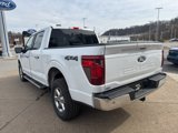 New 2025 Ford F150 XLT w/ Equipment Group 302A MID image 5