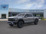 New 2025 Ford F150 Raptor image 2