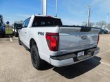 New 2025 Ford F150 XLT w/ Equipment Group 301A Standard image 5