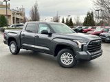 New 2025 Toyota Tundra SR5 image 2