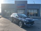 Used 2021 Ford Escape SEL image 1