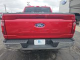 New 2025 Ford F150 XLT w/ Equipment Group 303A High image 5