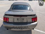 Used 2001 Ford Mustang Cobra image 5