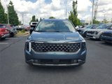 New 2025 Kia Carnival SX Prestige image 2