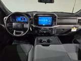 New 2025 Ford F150 XLT w/ Equipment Group 301A Standard image 5