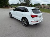 Used 2015 Audi SQ5 Prestige w/ Prestige Package image 4