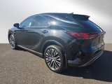 New 2025 Lexus RX 350 Premium Plus image 3