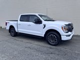 Used 2023 Ford F150 XLT image 4