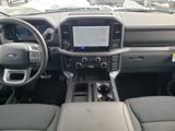 New 2025 Ford F150 XLT w/ Equipment Group 302A MID image 2
