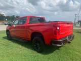Used 2020 Chevrolet Silverado 1500 LT Trail Boss image 4