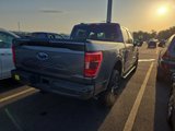 Used 2021 Ford F150 XLT w/ Equipment Group 301A Mid image 4