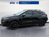 New 2025 Subaru Crosstrek 2.5i Wilderness image 2