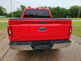 Used 2021 Ford F150 XLT w/ Equipment Group 302A High image 6