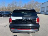 New 2025 Hyundai Palisade Calligraphy image 3