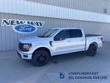 New 2025 Ford F150 XLT w/ Equipment Group 302A MID image 1