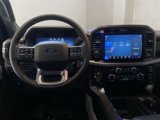 New 2025 Ford F150 XLT image 6