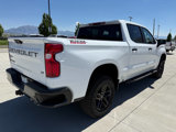 Used 2024 Chevrolet Silverado 1500 LT Trail Boss w/ Convenience Package II image 3