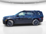 New 2025 Hyundai Santa Fe Calligraphy image 4