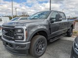 New 2025 Ford F250 XL image 6