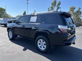 Used 2024 Toyota 4Runner SR5 Premium image 4