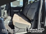 New 2025 Ford F150 XLT w/ Equipment Group 302A MID image 5