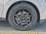 New 2025 Kia Carnival SX image 4