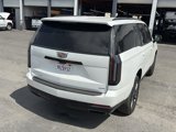 Used 2025 Cadillac Escalade Sport Platinum image 5