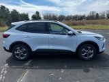 New 2025 Ford Escape ST-Line Elite w/ Class II Trailer Tow Package image 2