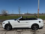 Used 2016 Ford Mustang Premium image 6